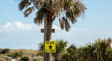 Slow Turtle Crossing Sign Near The Beach On Amelia Island, Florida.