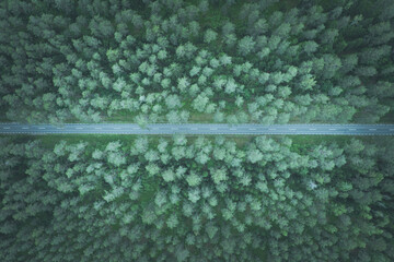 Empty straight road through the forest top down aerial view toned image