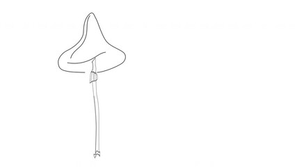 Wall Mural - Self drawing animation of red fly agaric, fly amanita. Copy space, white background.