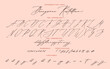 © Ira Dvilyuk - Handwritten script calligraphy cursive font Buongiorno Rastellino Italian hello Rastellino vector alphabet set