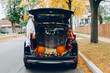 © anoushkatoronto - Trick or trunk. Black car trunk decorated for Halloween. Autumn fall decor with red pumpkins and yellow leaves for traditional October holiday outdoors. Social distance during coronavirus covid-19.
