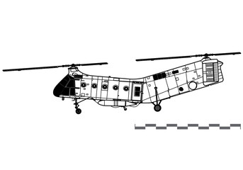 Wall Mural - Piasecki H-21 Workhorse, Shawnee. Vector drawing of military transport helicopter. Side view. Image for illustration and infographics.