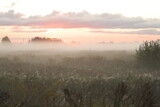 Fototapeta Na ścianę - morning with fog