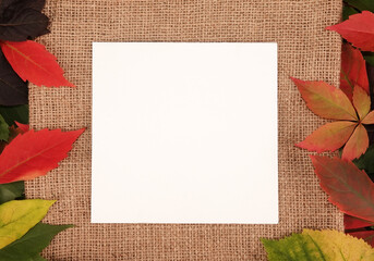 Wall Mural - Trendy seasonal autumn fall colorful leaves on burlap text frame background