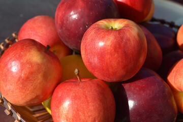 Wall Mural - Apples