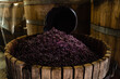 © Mauro Grigollo Photographer/Stocksy - organic wine production