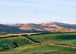 © Liam Grant Photography/Stocksy - Sheep grazing at sunrise. Ash Fell, Cumbria, UK.