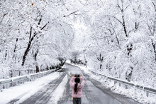 Cute Little Girl Taking Photos On A Snowy Forest Road On A Winter Day