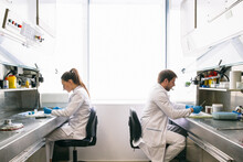 Side View Of Man And Woman In Lab Coats Sitting At Tables And Examining Samples While Working In Research Laboratory Together.