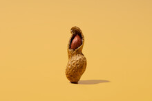 peanut
