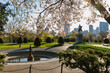 © Raymond Forbes LLC/Stocksy - Boston Public Garden in Spring