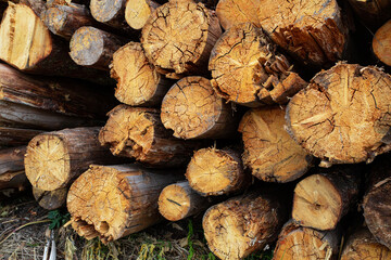 Wall Mural - stack of wooden logs dark brown old and cracked natural pattern