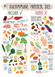 Autoimmune protocol diet banner with including and avoiding food for address disease by special nutrition.