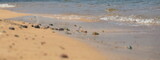 Fototapeta Morze - 바닷가의 모래와 자갈이 보이는 아름다운 풍경