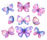 Fototapeta Motyle - Watercolor butterflies blue pink