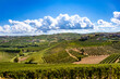 Hillside view of the vineyard covered hills of Barbaresco Italy