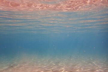dive