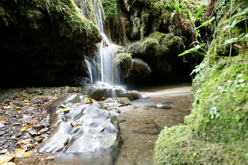 Mountain stream in forest with cascades