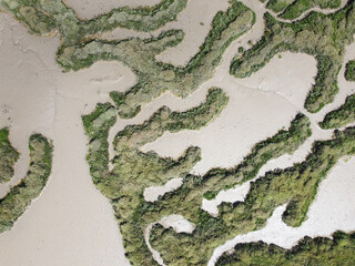 Wall Mural - abstract view from above of wetlands