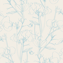 Seamless Flower Pattern Background With Sweet Pea Flower And Leaf, Blue Line Drawing Illustration. 