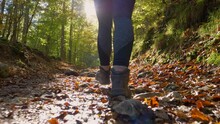 SLOW MOTION, LENS FLARE, LOW ANGLE: Unrecognizable Hiker Girl Walks Along An Empty Forest Trail On A Sunny Autumn Day. Unrecognizable Fit Woman Unwinds By Going On A Relaxing Hike Around The Forest.