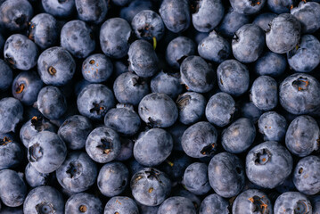 fresh berries blueberries texture background