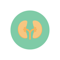 Sticker - ureters