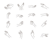 Woman's Hand Set In Line Art Style. Female Hands Different Gestures Vector Illustration