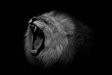 160_f_382401008_owsypnflxvnfom8wocgkphvodbpllod0