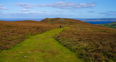 Wall Mural - Gower Peninsular Rhossilli Bay Panoramic with Green Hills surrounding the Sandy Bay - Green Welsh Hillsides