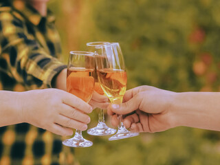 Clink glasses Photo template with copy space in close up Two women and man toasting with glasses of white wine Family holiday