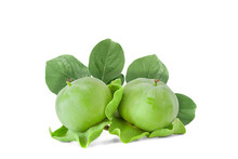 Two Unripe Green Persimmon (Diospyros) With Leaves Isolated On A White Background