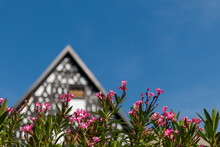 Blooming Oleander With Blurred Half Timbered House And Blue Sky In Background