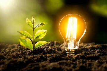 eco environment, abstract lighting bulb concept