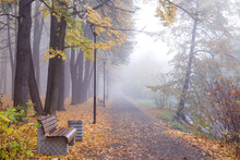 Bench In A Misty Park Free Stock Photo Public Domain Pictures