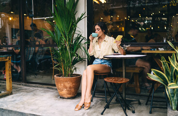 Wall Mural - Woman drinking coffee and using smartphone