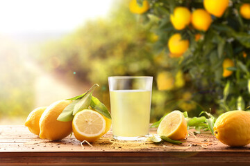 Wall Mural - Freshly squeezed juice on table full of lemons in nature