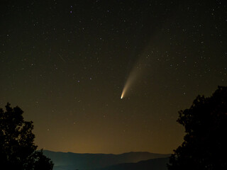 Sticker - Mesmerizing view of the falling star on the night sky