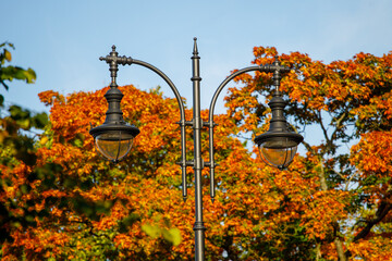 Canvas Print - beautiful street lamp on a background of autumn leaves.