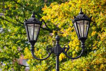 Wall Mural - beautiful street lamp on a background of autumn leaves.