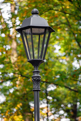 Wall Mural - beautiful street lamp on a background of autumn leaves.