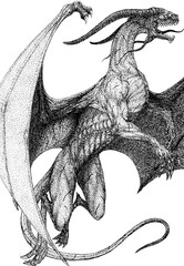 Wall Mural - dragon with wings and horns flies in the sky