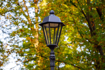 Wall Mural - beautiful street lamp on a background of autumn leaves.