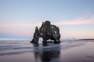 Canvas Print - Sunset at Hvitserkur sea stack. Thirsty dragon in North-West, Iceland