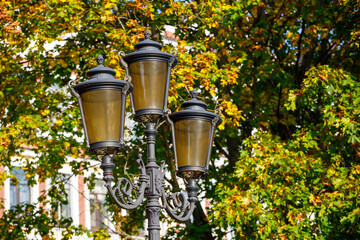 Poster - beautiful street lamp on a background of autumn leaves.