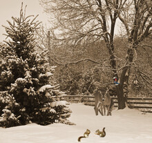 Christmas Card Design With Sepia Toned Snowy Scene.