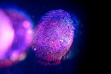 Aufkleber - Close up beautiful abstract violet, red colored fingerprint on  background texture for design. Macro photography view.