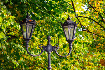 Sticker - beautiful street lamp on a background of autumn leaves.