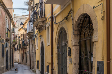 Kleine Gasse mit Hund in der Altstadt Ortigia auf Sizilien