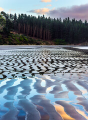 Sticker - Strips by the ocean tide